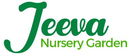 nursery garden in kurinjipadi